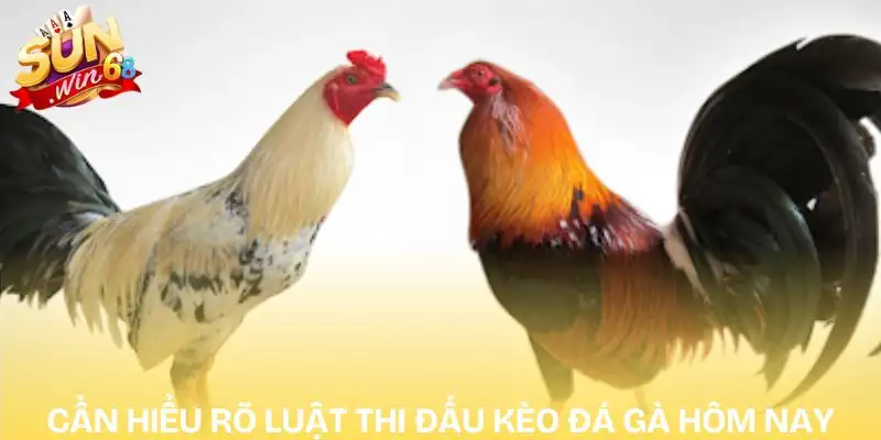 keo-da-ga-hom-nay-can-hieu-ro