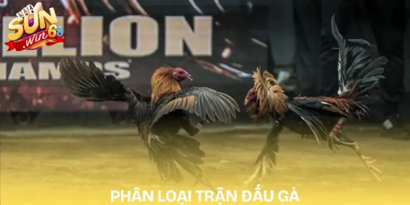 keo-da-ga-hom-nay-loai-wala